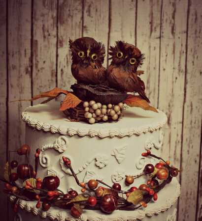 owl, love and ideas