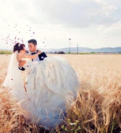 roses, heart and field