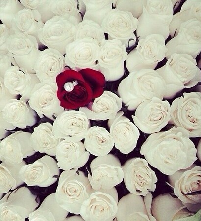 wedding ring, proposal and red