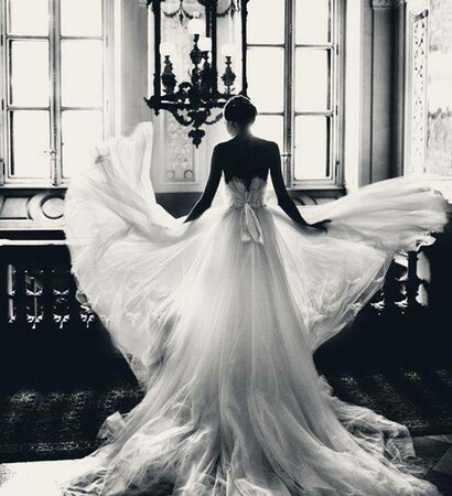 beauty, disney and white