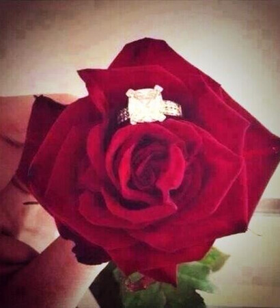 marry me, flower and red
