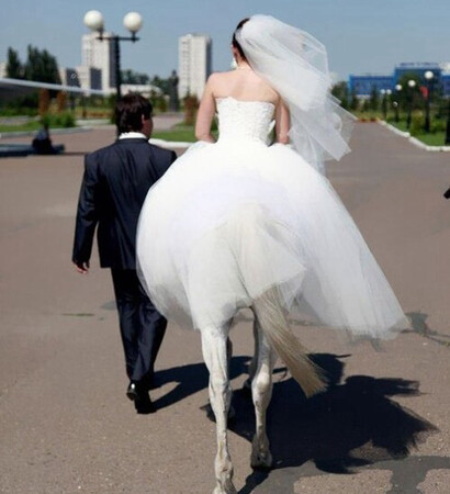 aw, married and horse