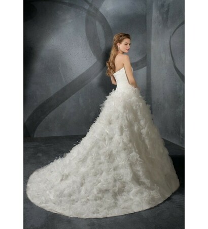 ball gown, bridal dress and chapel train