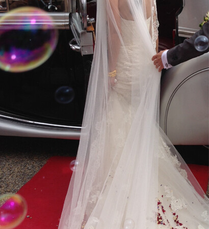 lace, long veil and dress