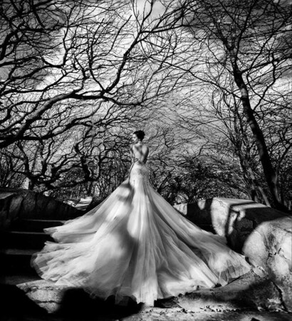 backless, sultry and Dream
