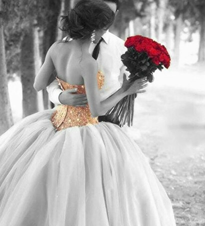 edit, roses and red