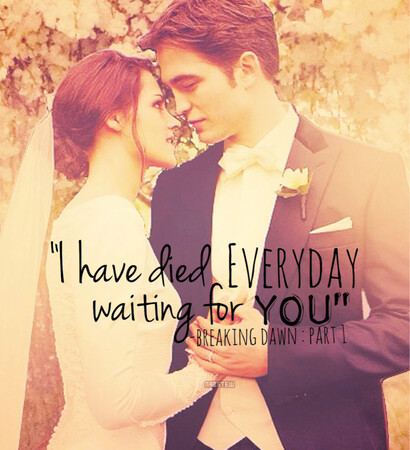 breaking dawn, cullens and edward