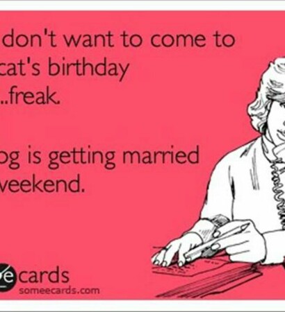dog, ecards and birthday