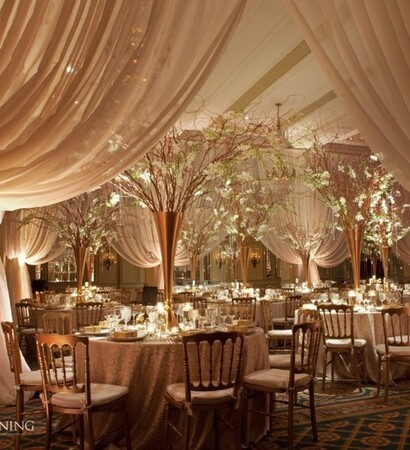 tent, reception and indoor
