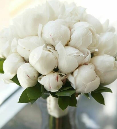 flower, white peonies and floral