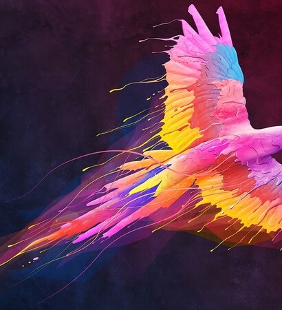 colors, style and good