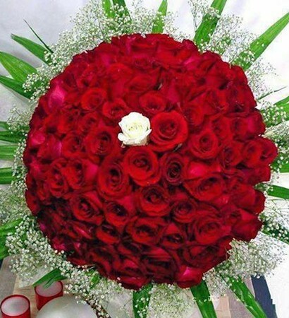 nice, red roses and red
