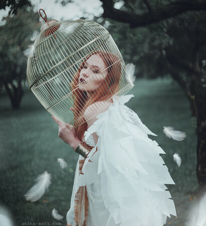 free, interior and cage