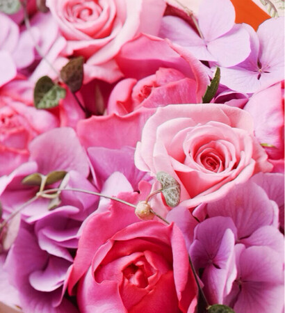 hydrangea, roses and love