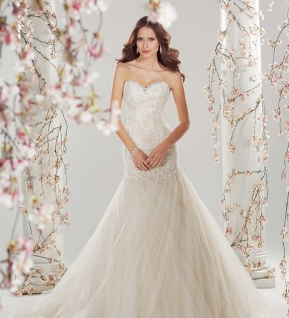 wedding dress, nice weddingdress and wedding occasion dresses