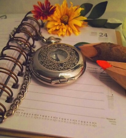 time, love and organização