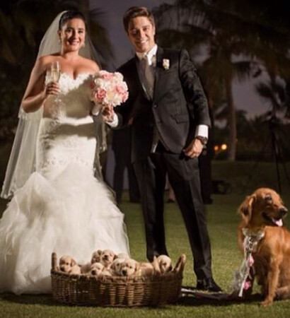 dogs, perfect and awesome