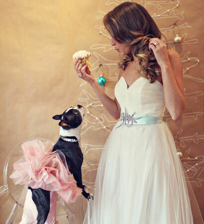 tutu, glitter and dog