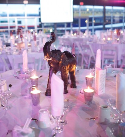ana novaes, wedding decoration and purple