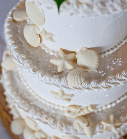 seashells and cake