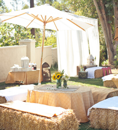 party, country and rustic
