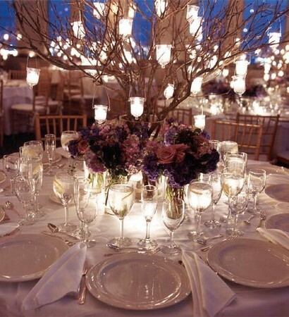 white, tree and lights