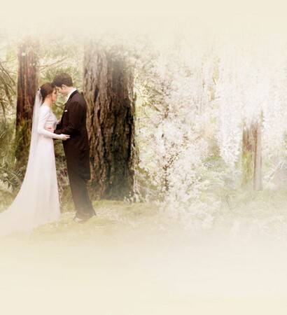 edward, bella and beautiful