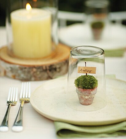 centerpiece, flowers and decor