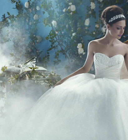 wedding gown, girl and cinderella