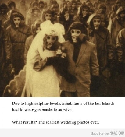 old, gas mask and photo