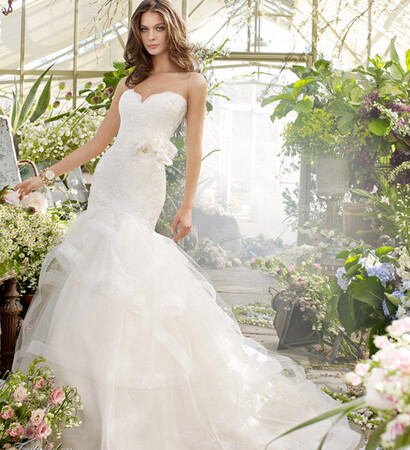 cute, luxurious and white
