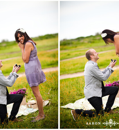 proposal, photography and aaron shintaku