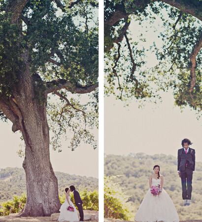amor, love and casal