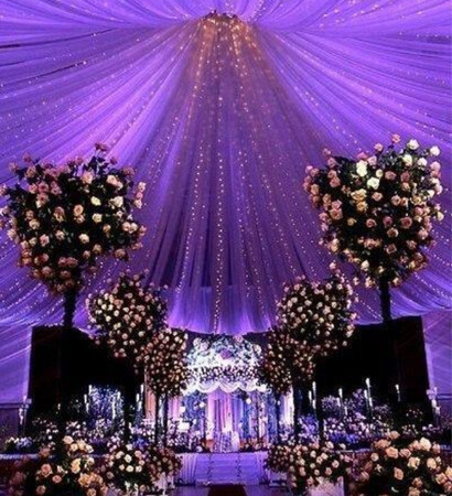 hall, lights and bushes