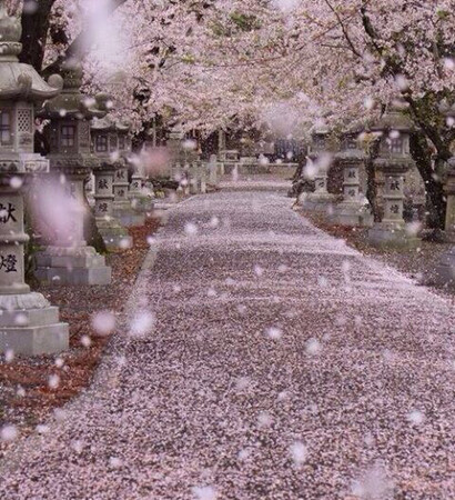 wonderful, ❤️ and tree