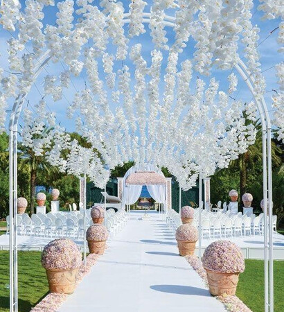 roses, magical and blossom