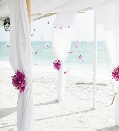 reception hall, garden decoration and wedding reception