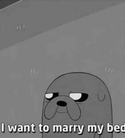 weddings, funny and jake the dog