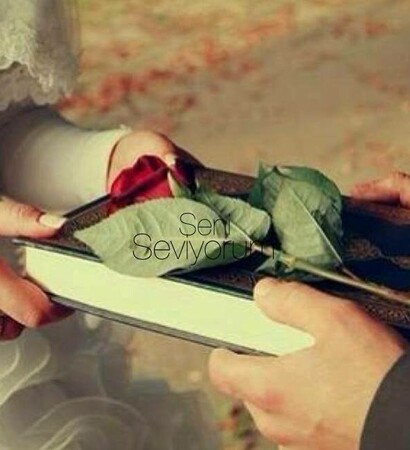 fall in love, rose and bridal