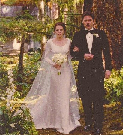 breaking dawn, twilight and stephenie meyer