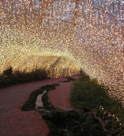 lights, georgeous and archway