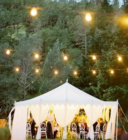 garden decoration, wedding reception and reception hall