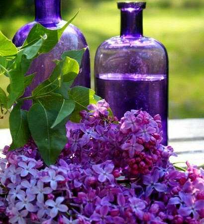 jar of roses, love and natural