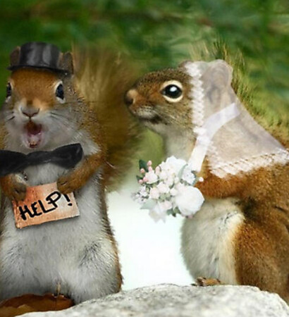 bride, help and groom