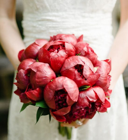 lovely, cute and red
