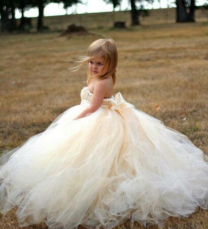 wedding dress, white and fashion