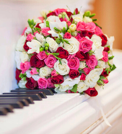 roses, beautiful and pretty