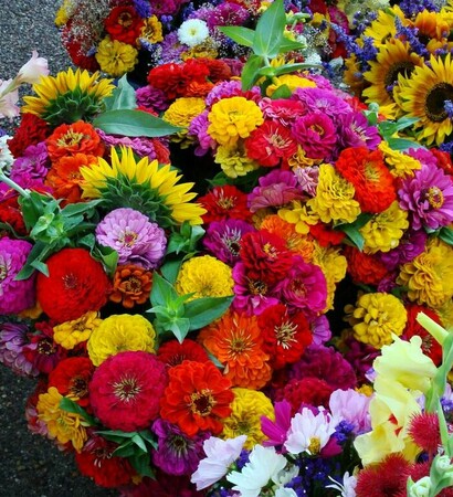 decorated, colorful and flowers