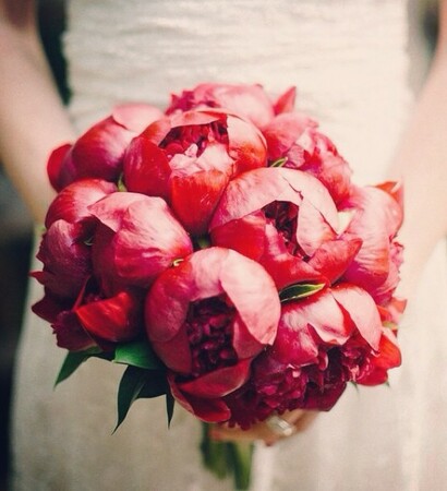 rose, pink and flowers