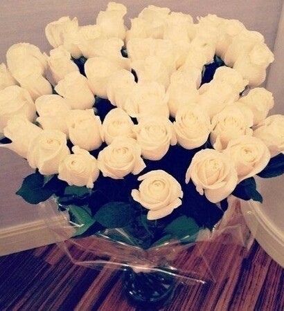 white, gift and roses